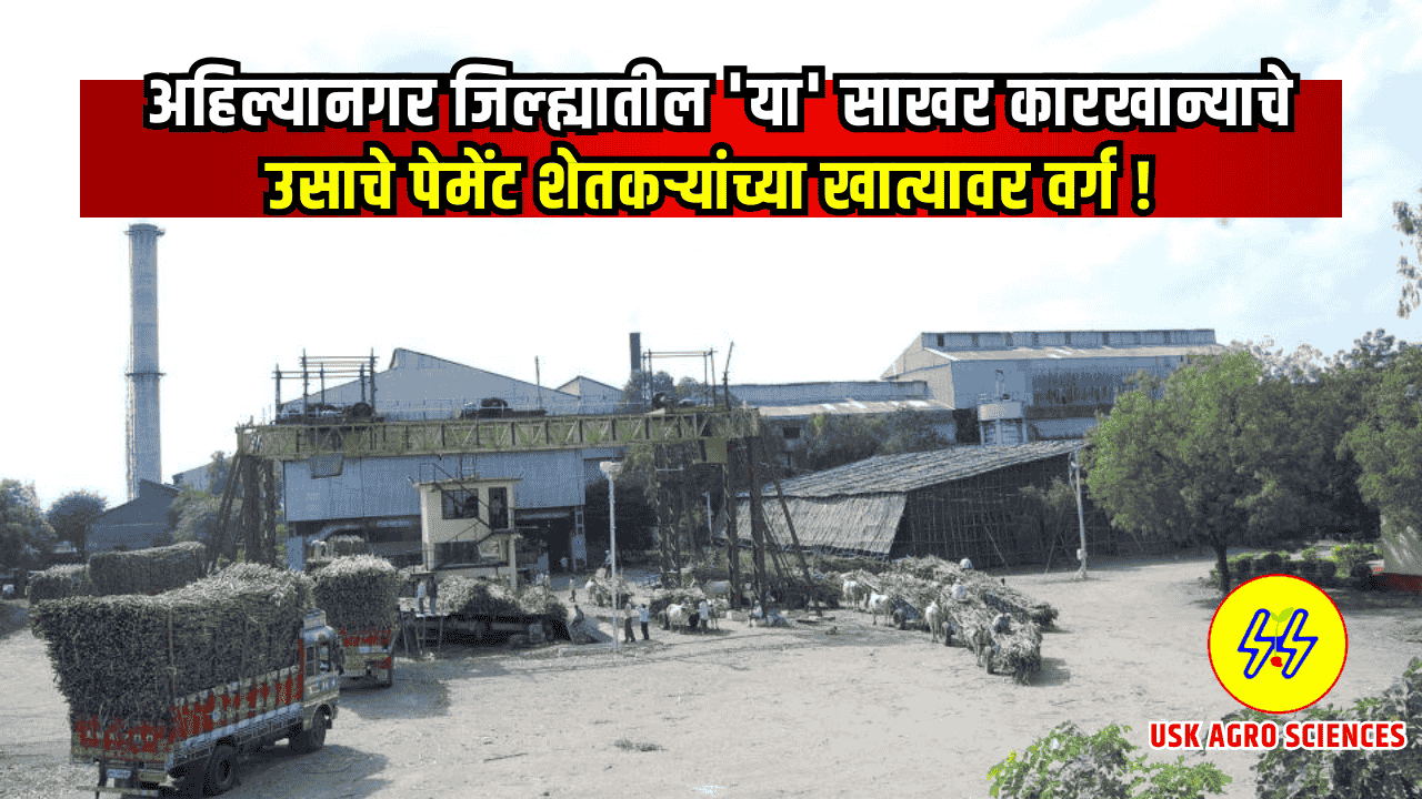 Sugarcane FRP Payment 2025