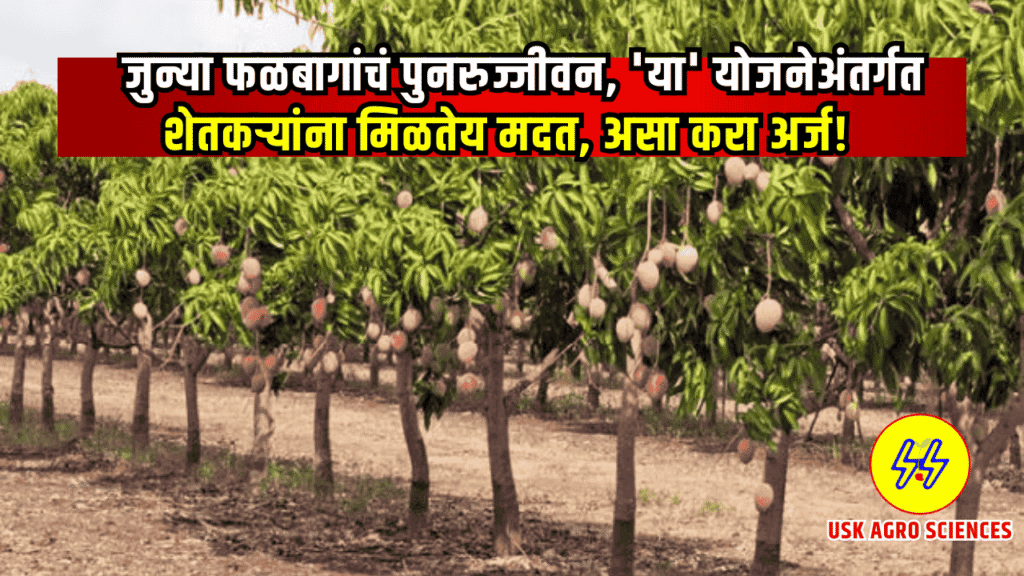 Falbag Lagwad Yojana 2025