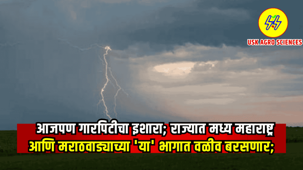 Maharashtra Weather Update 2025