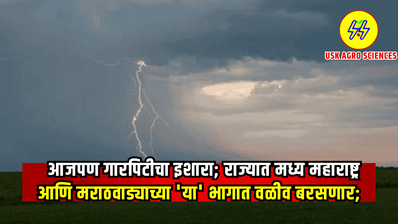 Maharashtra Weather Update 2025