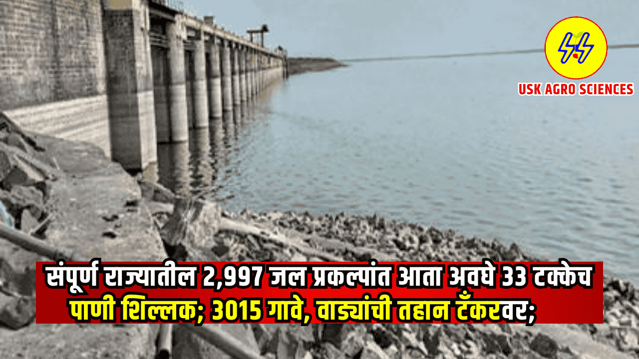 Maharashtra Water Storage Update 2025