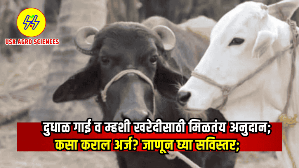 Dudal Gai Mhashi Yojana 2025