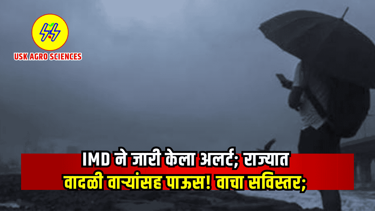 Maharashtra Weather Update 2025