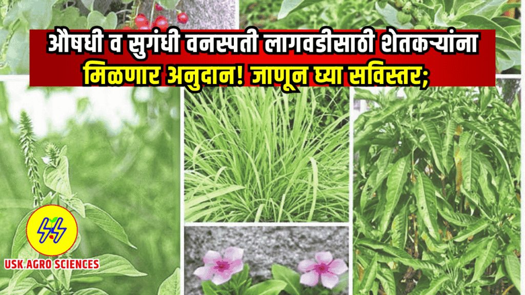 Aushdhi Abhiyan Yojana 2025