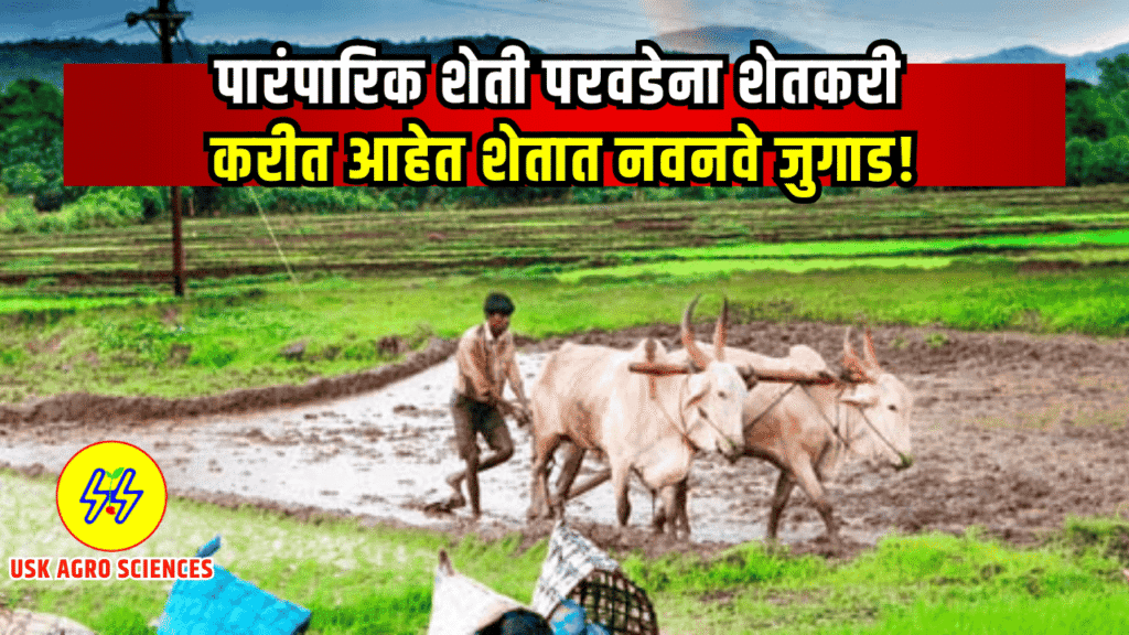 Farming Culture 2025