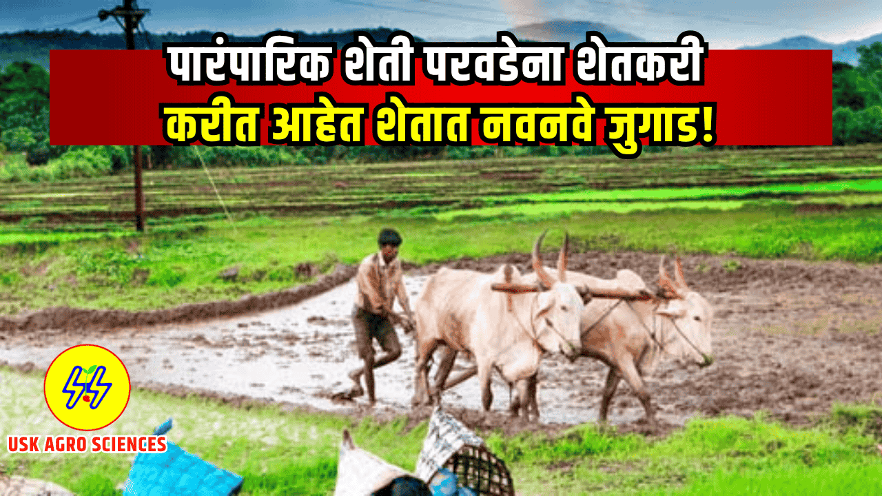 Farming Culture 2025