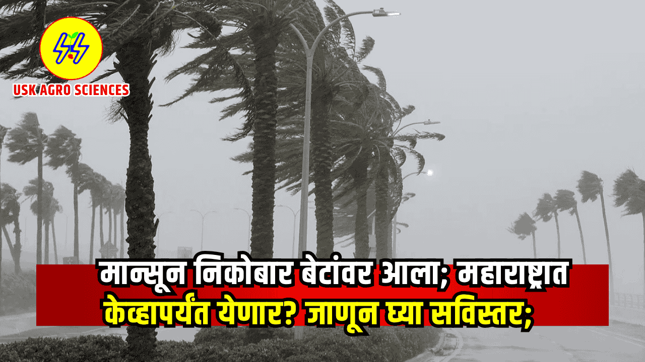 Maharashtra Monsoon Update 2025