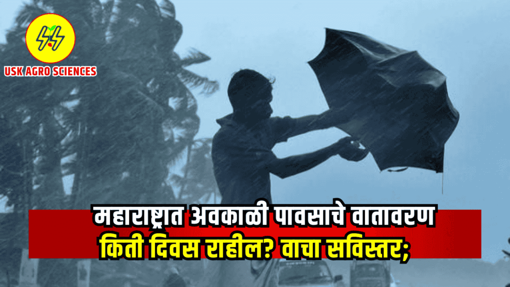 Maharashtra Weather Update 2025