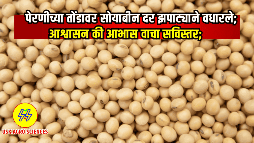 Soybean Market Update 2025