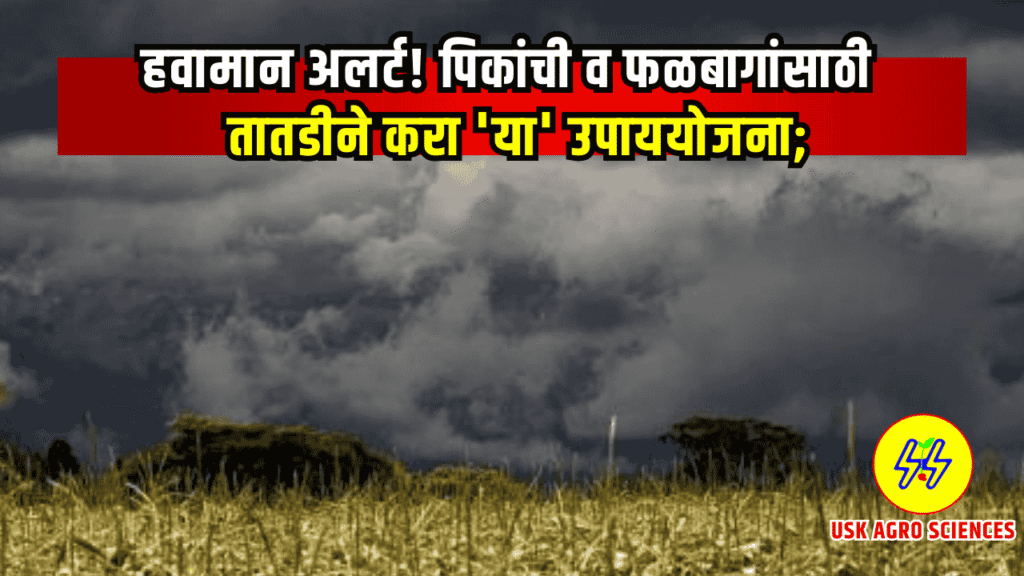 Krushi Salla 2025