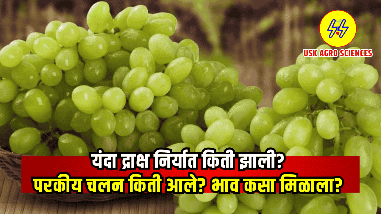 Draksh Niryat 2025