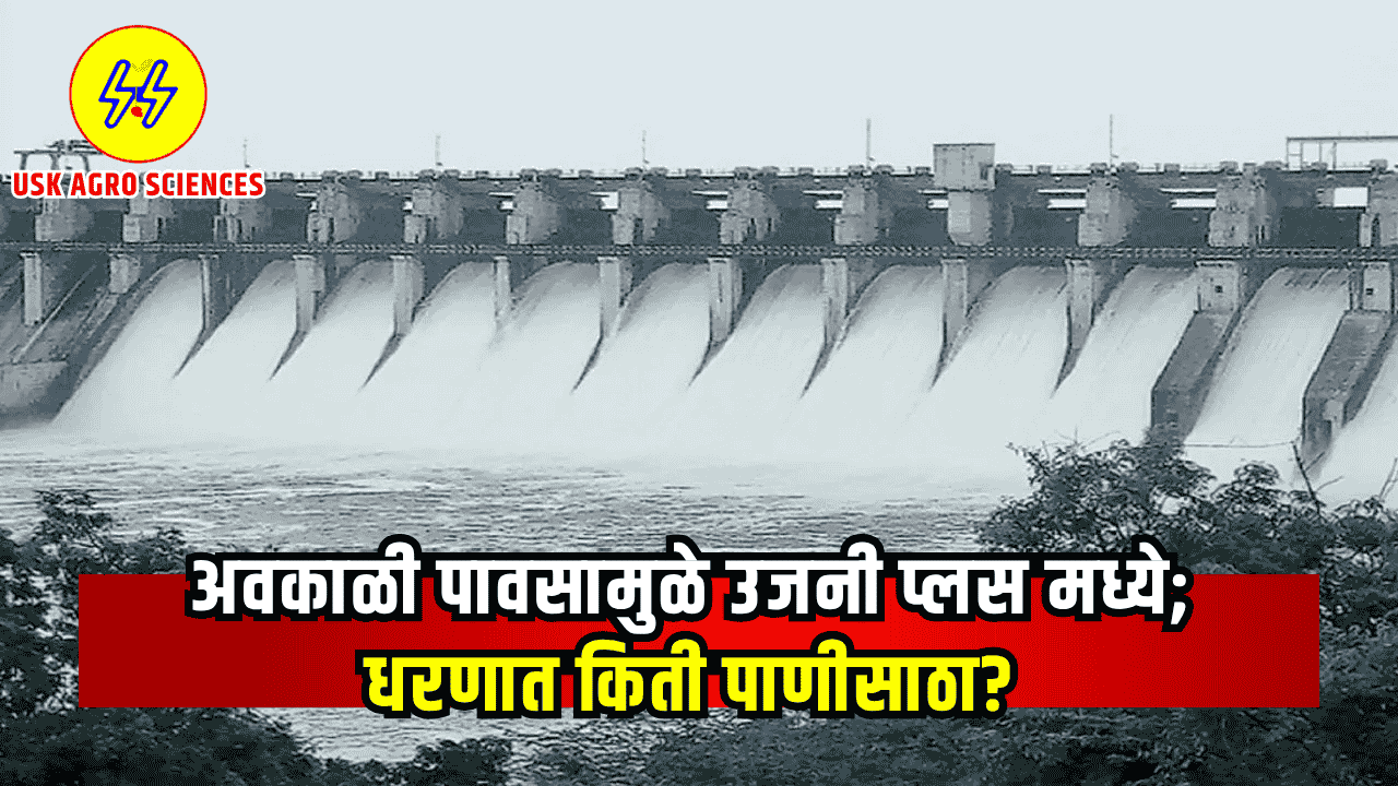 Ujani Dam Water Level 2025
