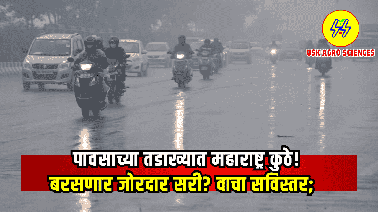 Maharashtra Weather Update 2025