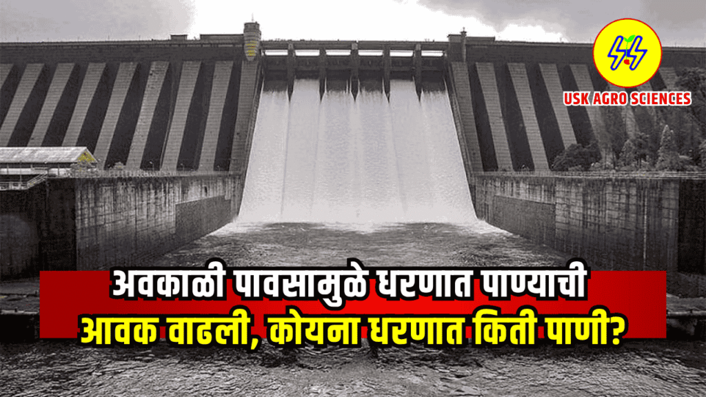 Koyna Dam Water 2025