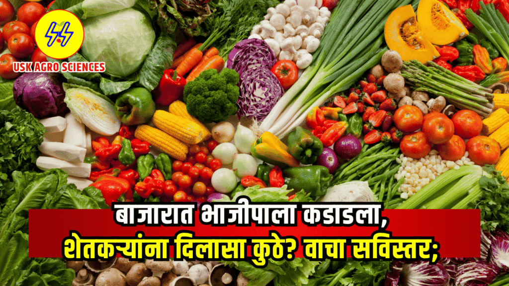 Vegetable Market 2025