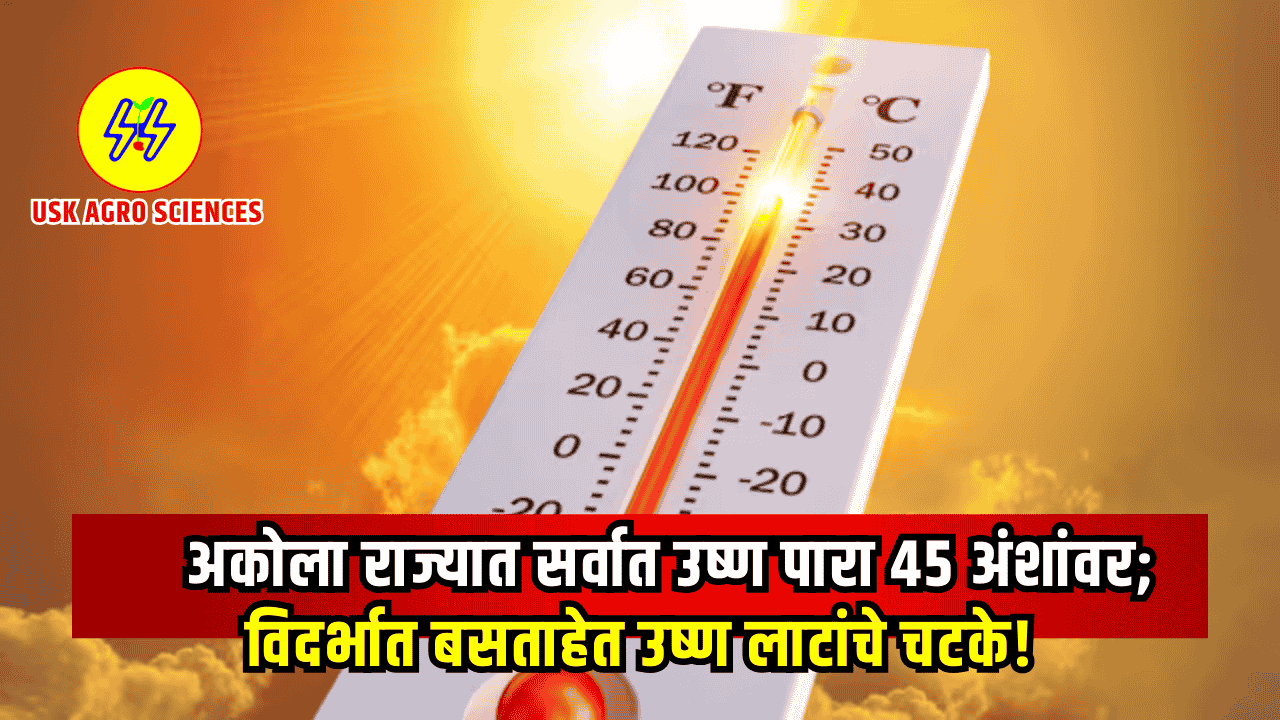Heat Wave In Vidarbha 2025