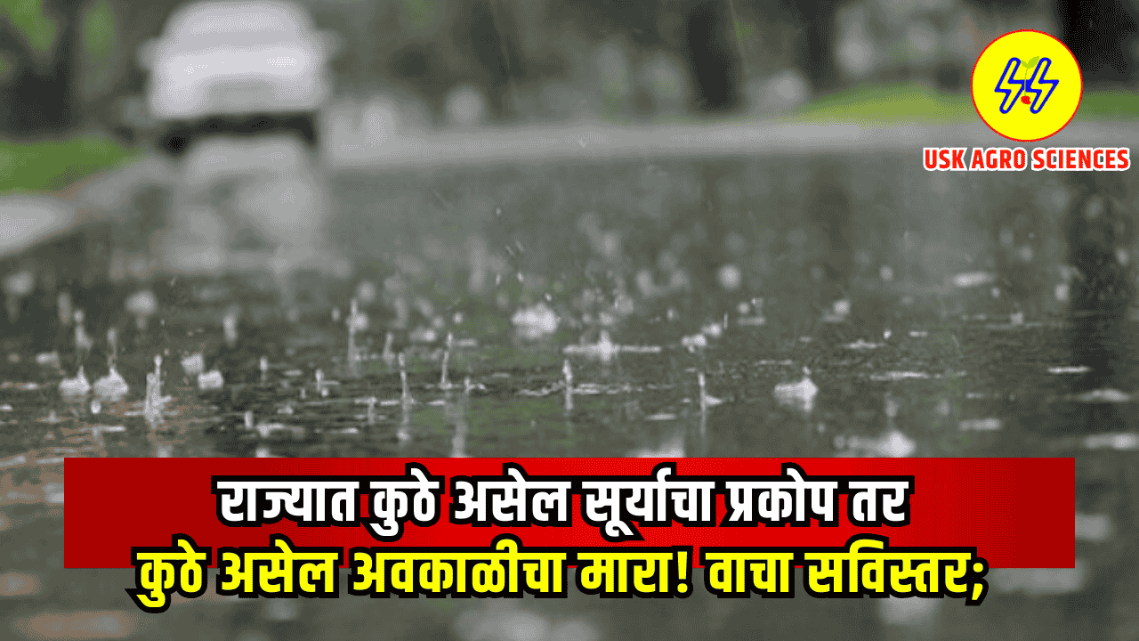 Maharashtra Weather Update 2025