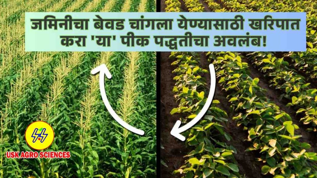 Soil Fertility 2025