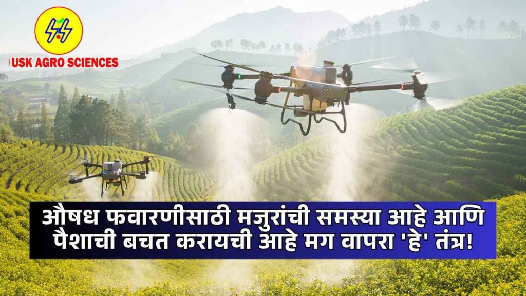 Aushdh Favarni 2025