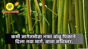 Bamboo Sheti 2025