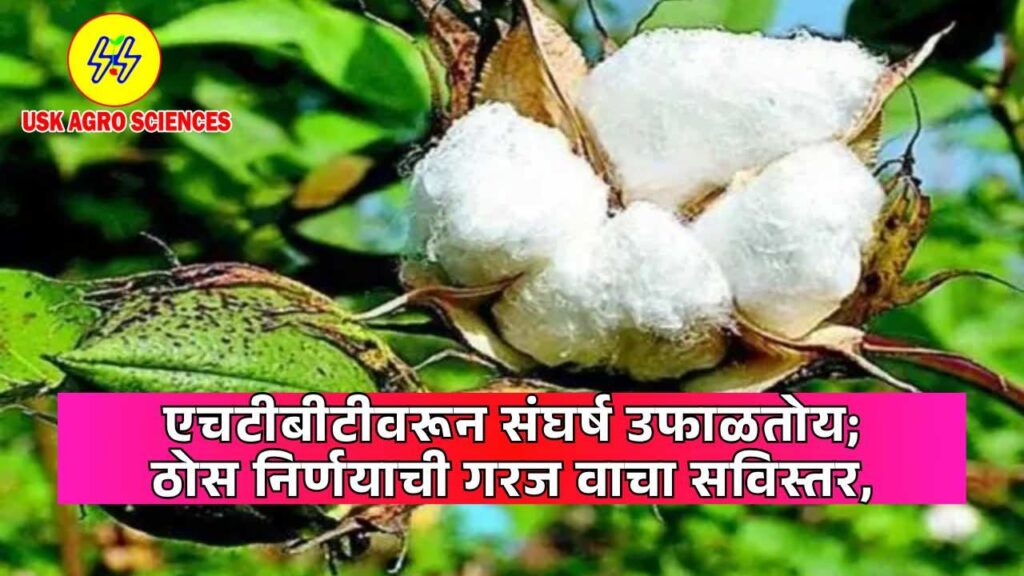 HTBT Cotton Seeds 2025