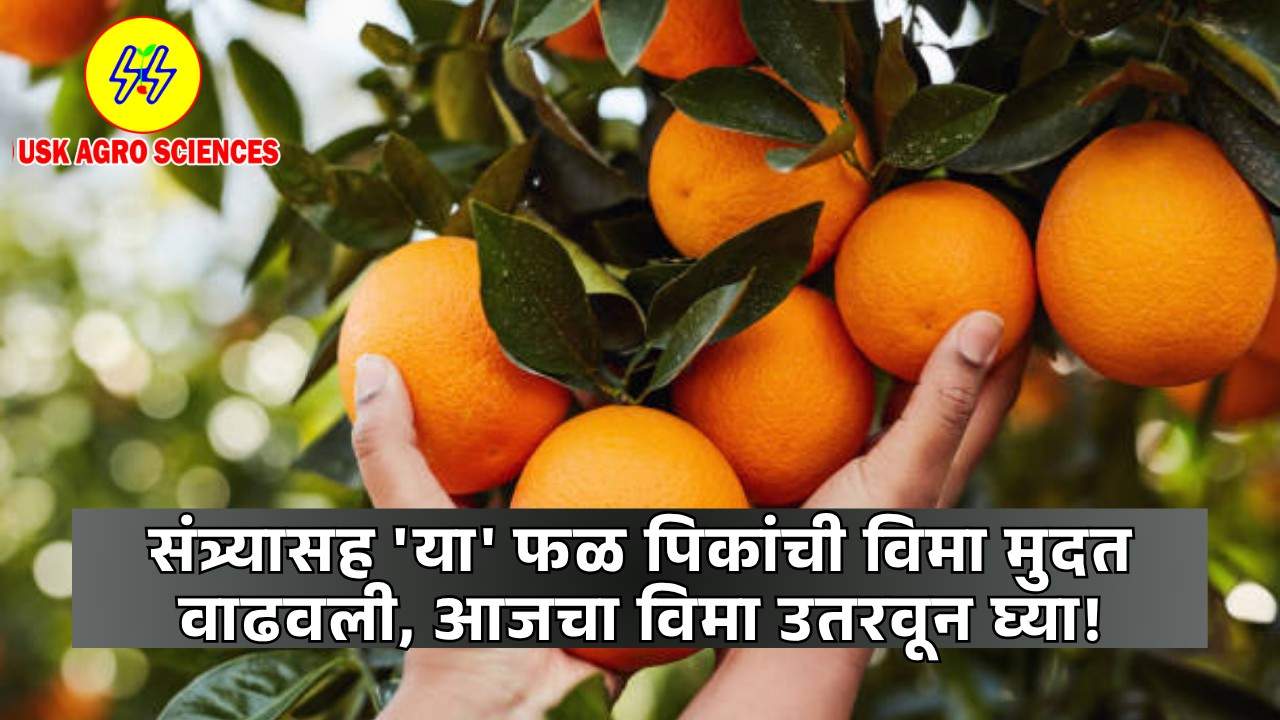 Pik Vima Yojana 2025