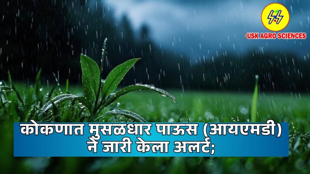Maharashtra Weather Update 2025