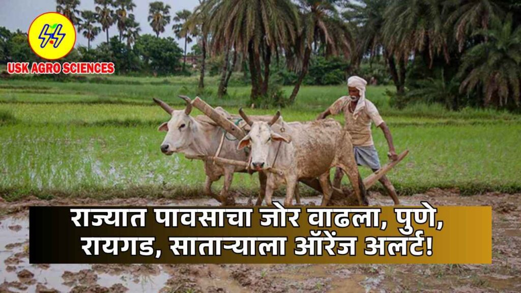 Maharashtra Weather Update 2025