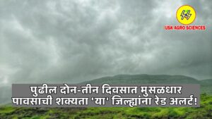 Maharashtra Rain Update 2025