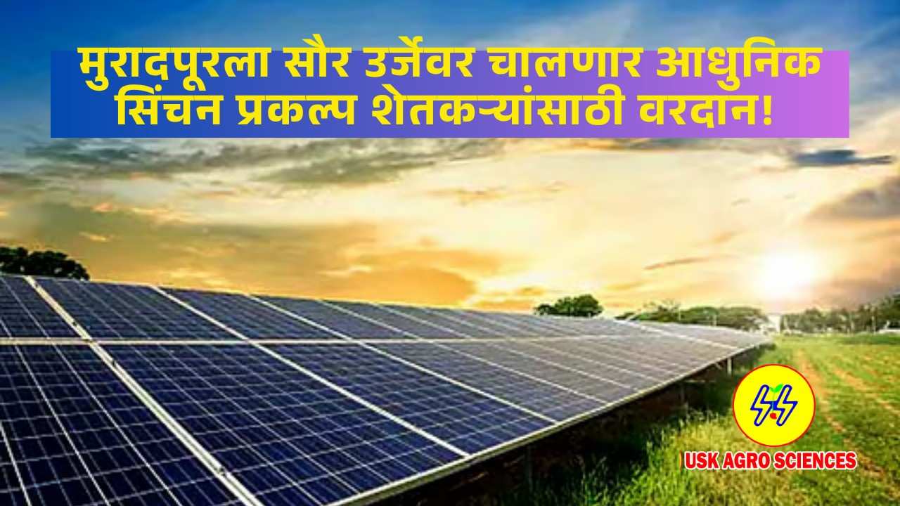 Muradpur Upsa Irrigation Scheme 2025