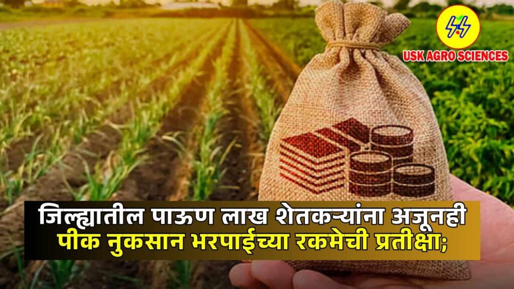 Crop Insurance 2025