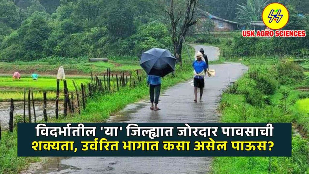 Maharashtra Rain 2025