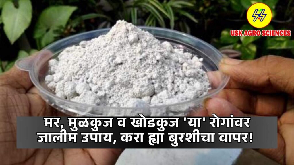 Trichoderma 2025