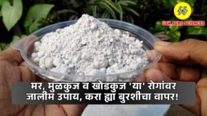 Trichoderma 2025