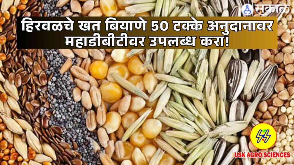 Dhencha Seed 2025