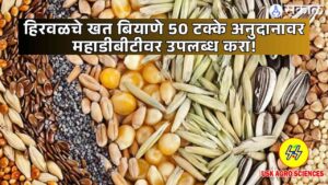 Dhencha Seed 2025