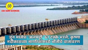 Almatti Dam Water Storage 2025