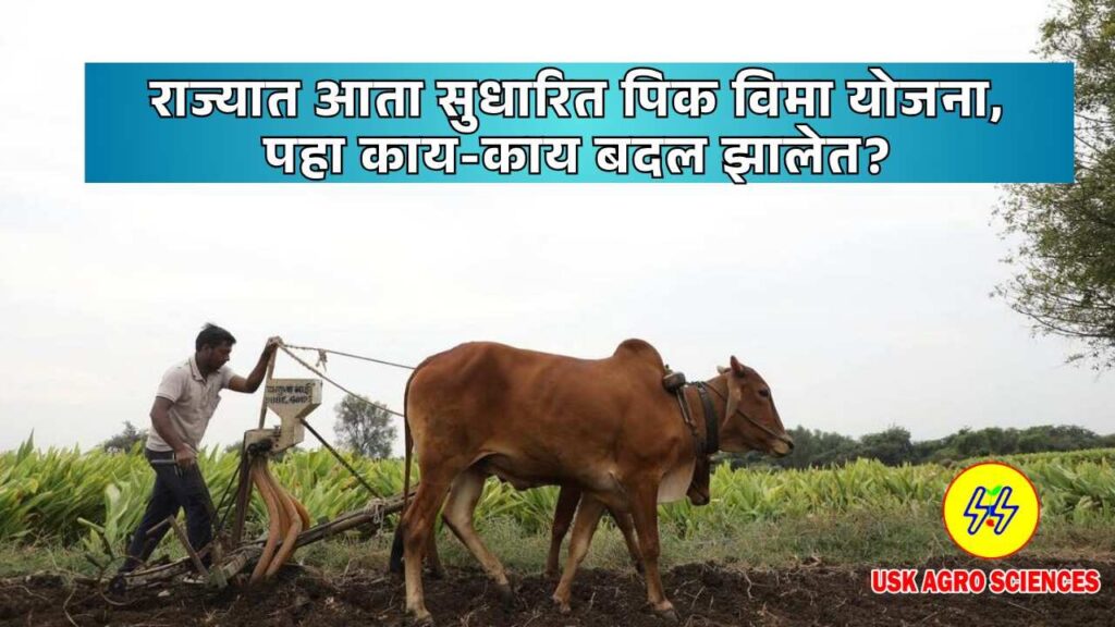 Navin Pik Vima Yojana 2025