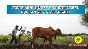 Navin Pik Vima Yojana 2025