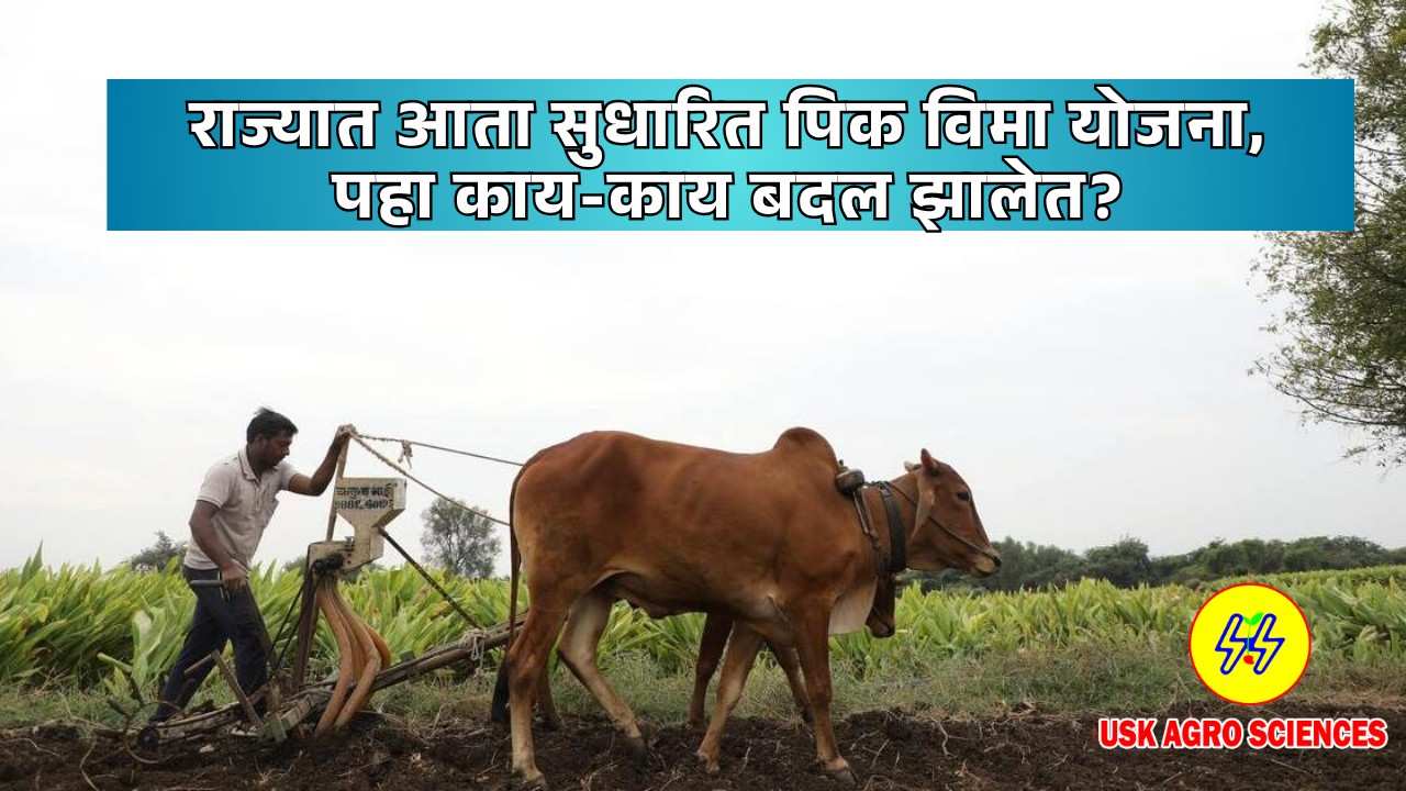Navin Pik Vima Yojana 2025
