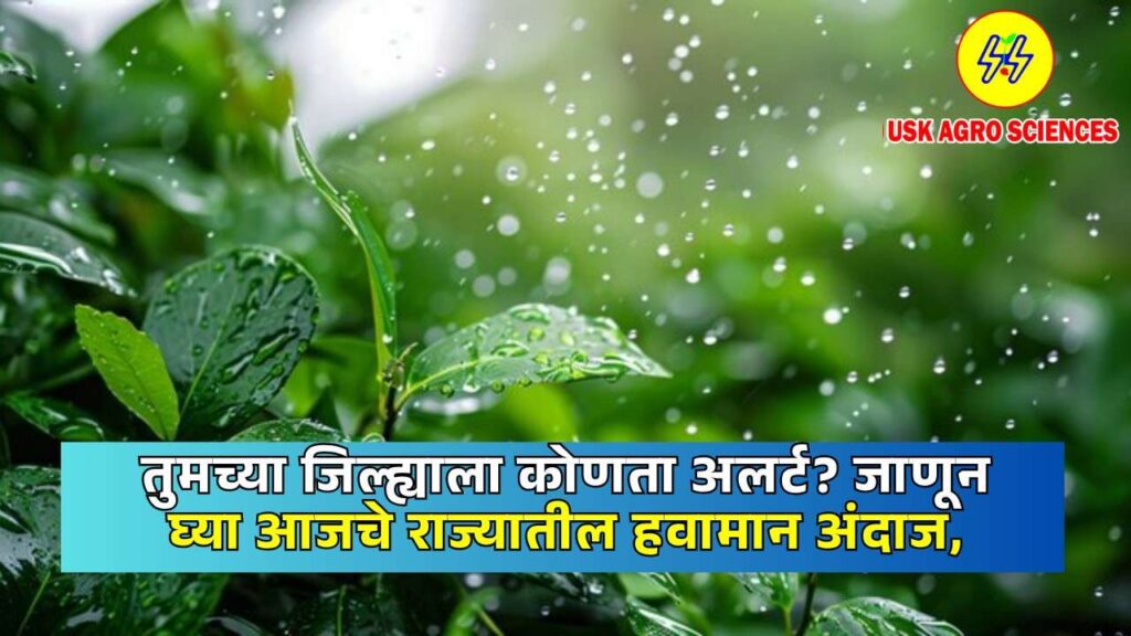 Maharshtra Weather Update 2025