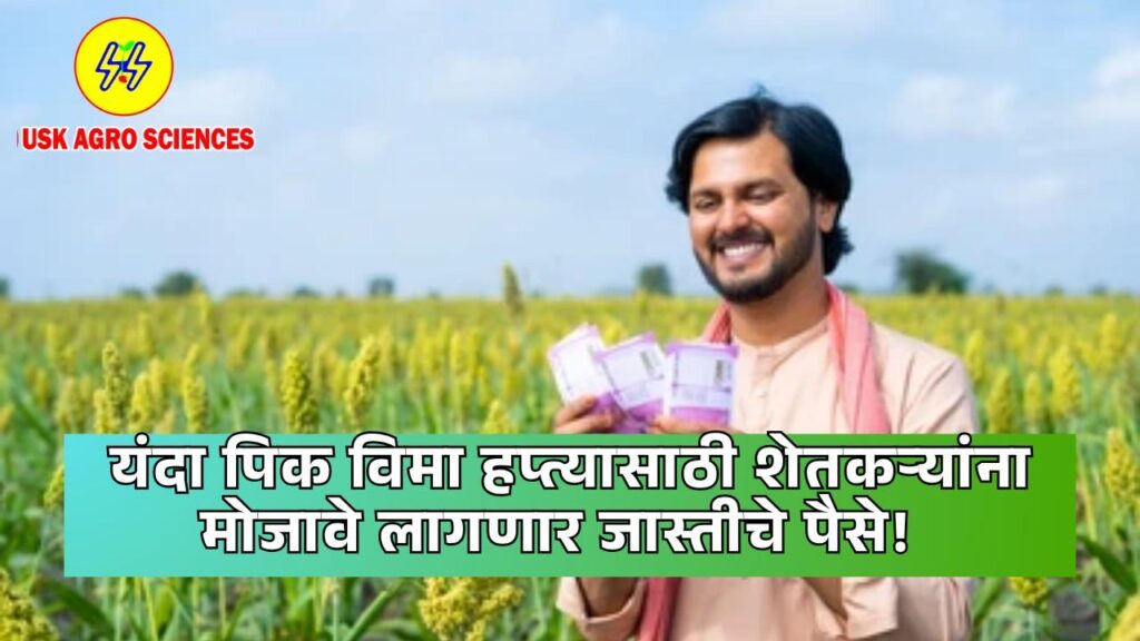 Pik Vima Hapta 2025