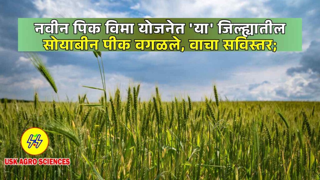 Navin Pik Vima Yojana 2025