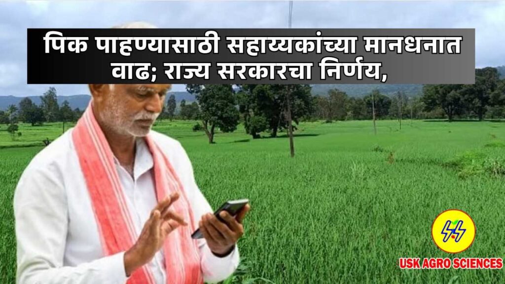 E Pik Pahani 2025