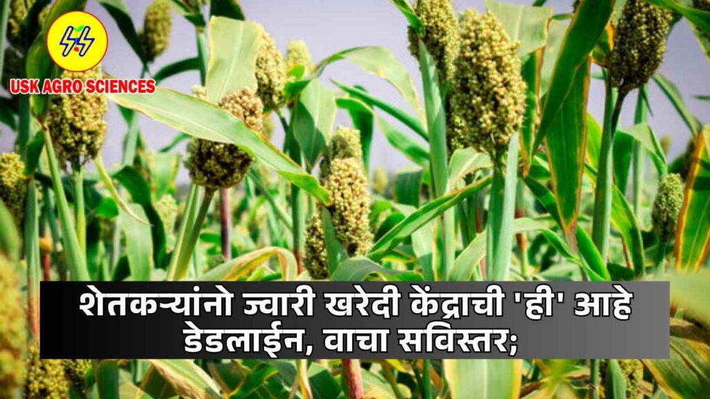 Jwari Kharedi 2025