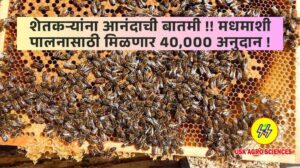 Beekeeping Scheme 2025