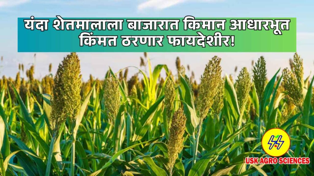 Agriculture Market MSP 2025