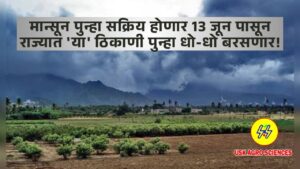 Maharashtra Monsoon Update 2025