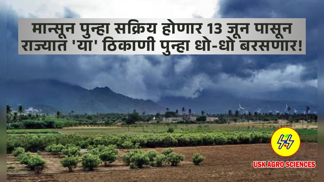 Maharashtra Monsoon Update 2025