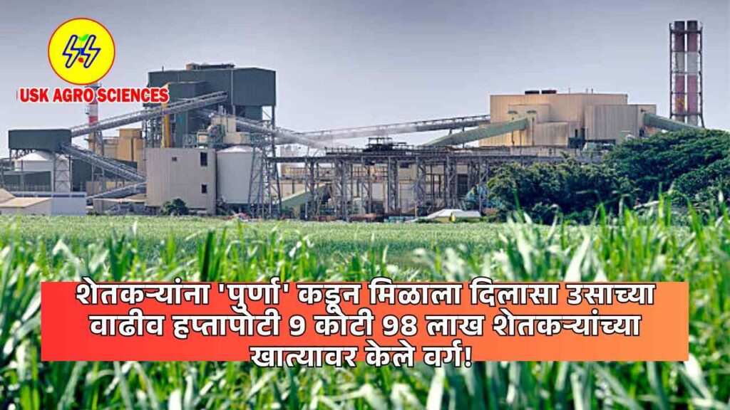 Purna Sugar Factory 2025